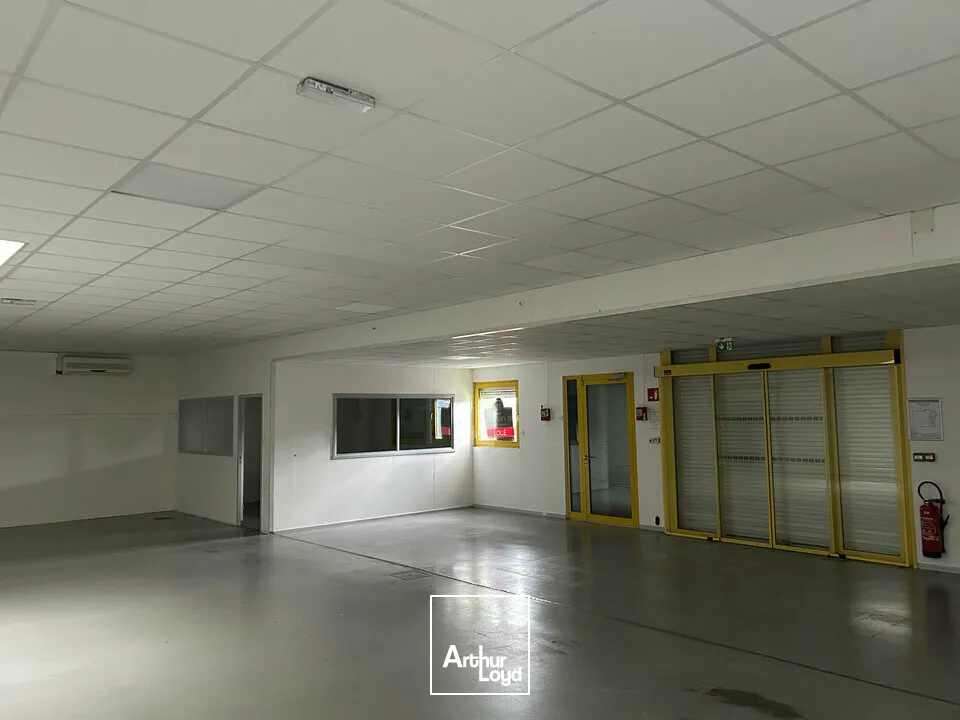Locaux d'activité & Entrepôts - Location - SAUSHEIM - 68390 - 490-490 - 7749016