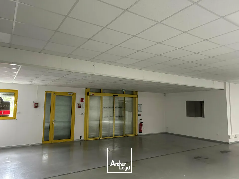 Locaux d'activité & Entrepôts - Location - SAUSHEIM - 68390 - 490-490 - 7749018
