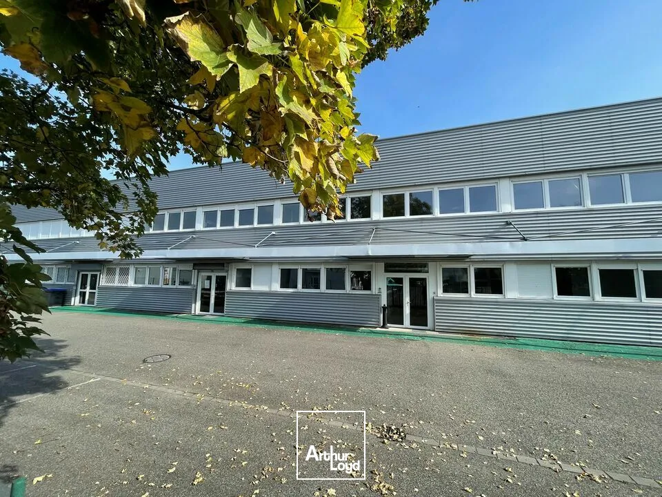 Locaux d'activité & Entrepôts - Location - MUNDOLSHEIM - 67450 - 728.5-728.5 - 7749022