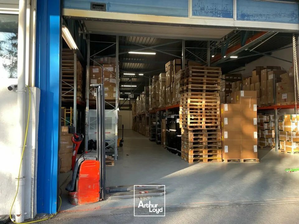Locaux d'activité & Entrepôts - Location - MUNDOLSHEIM - 67450 - 728.5-728.5 - 7749027