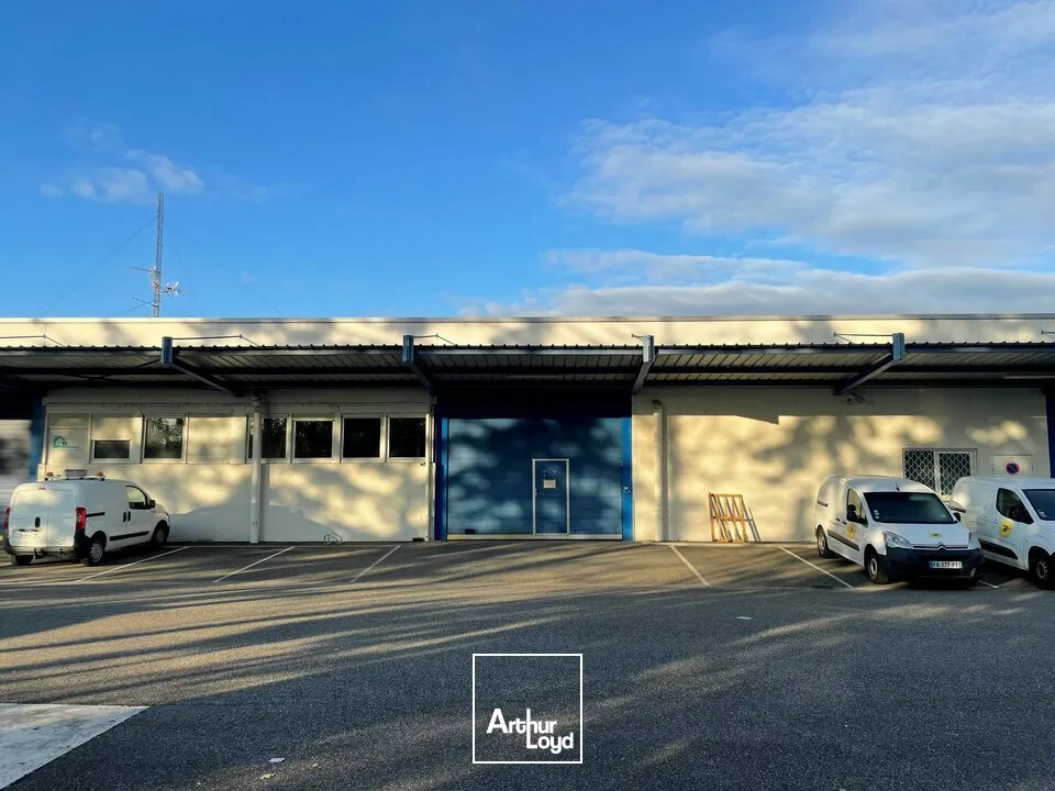 Locaux d'activité & Entrepôts - Location - MUNDOLSHEIM - 67450 - 728.5-728.5 - 7749028