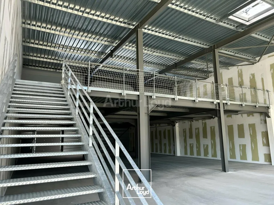 Locaux commerciaux - Location - COLMAR - 68000 - 583-583 - 7749044