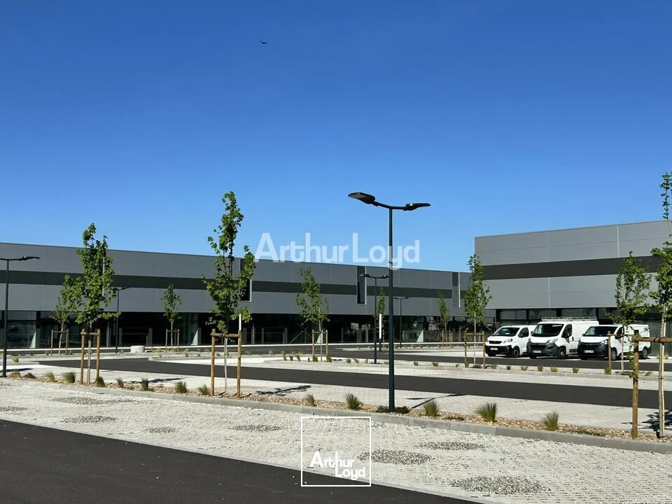 Locaux commerciaux - Location - COLMAR - 68000 - 595-595 - 7749055