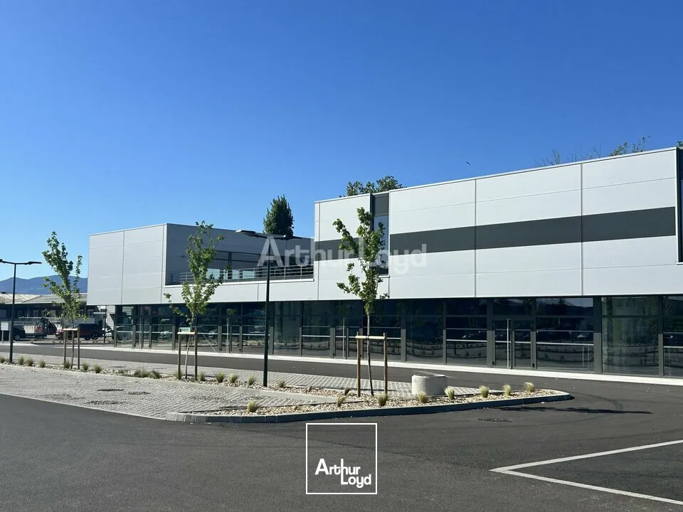 Locaux commerciaux - Location - COLMAR - 68000 - 595-595 - 7749056