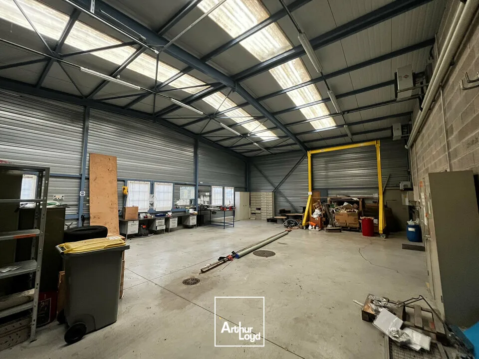 Locaux d'activité & Entrepôts - Vente - CHÂTENOIS - 67730 - 413-413 - 7749049