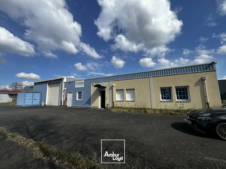 Locaux d'activité & Entrepôts - Vente - CHÂTENOIS - 67730 - 413-413 - 7749048