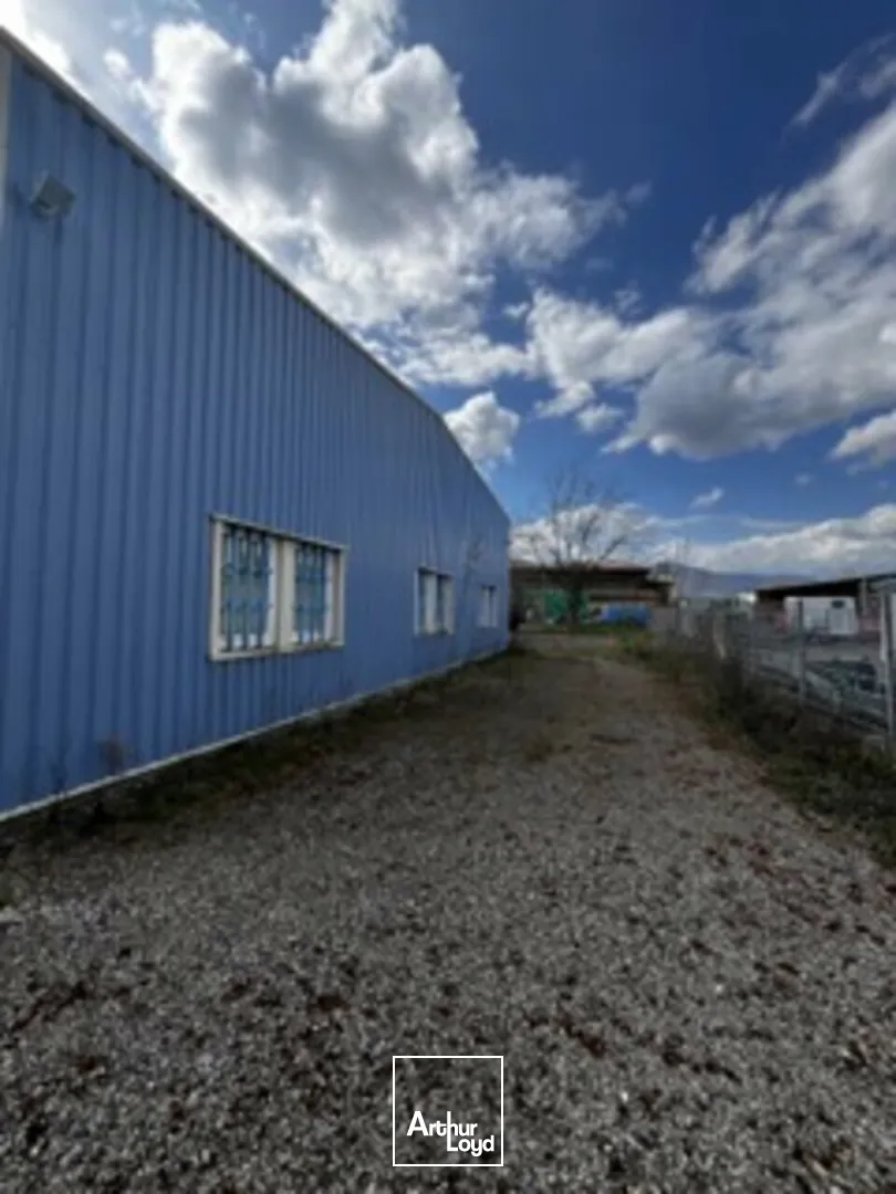 Locaux d'activité & Entrepôts - Vente - CHÂTENOIS - 67730 - 413-413 - 7749050