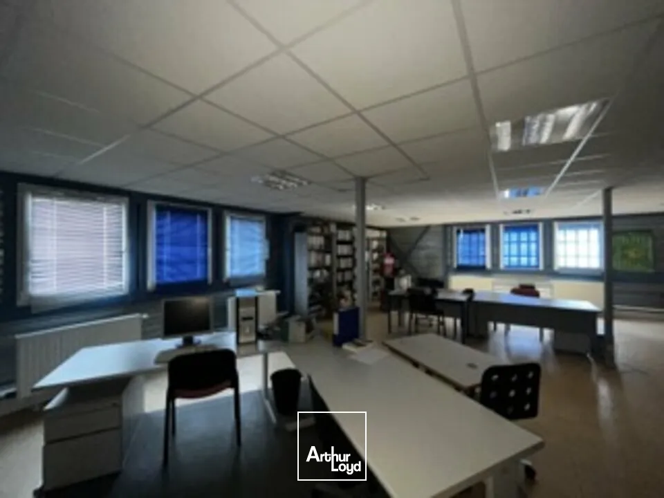 Locaux d'activité & Entrepôts - Vente - CHÂTENOIS - 67730 - 413-413 - 7749053