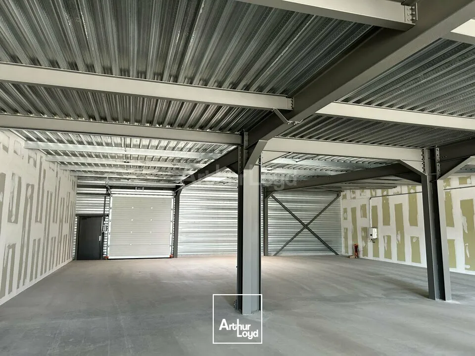 Locaux commerciaux - Location - COLMAR - 68000 - 595-595 - 7749058