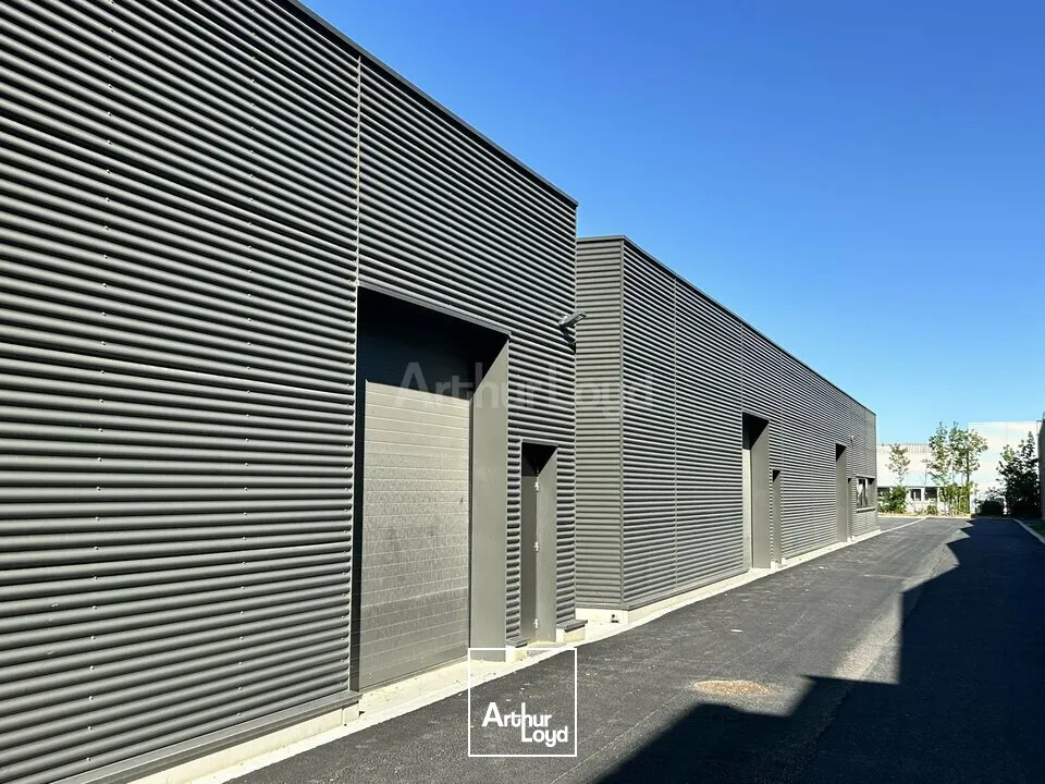 Locaux commerciaux - Location - COLMAR - 68000 - 595-595 - 7749062