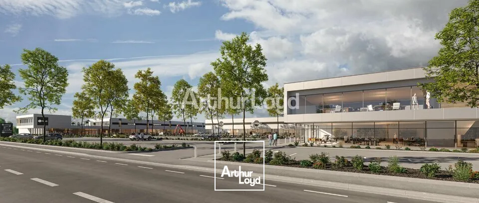 Locaux commerciaux - Location - COLMAR - 68000 - 595-595 - 7749054