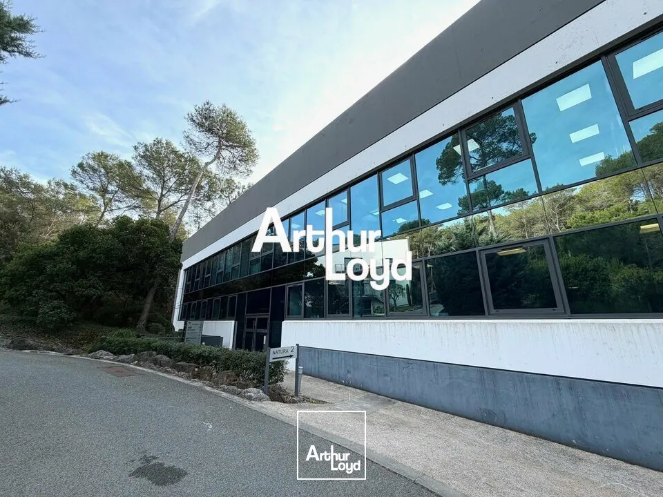 Bureaux - Vente - MOUGINS - 06250 - 270-270 - 7749083