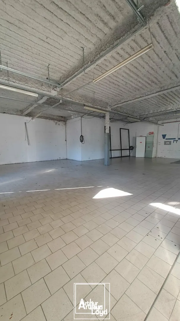 Locaux commerciaux - Location - ARGENTAT-SUR-DORDOGNE - 19400 - 249-249 - 7749109