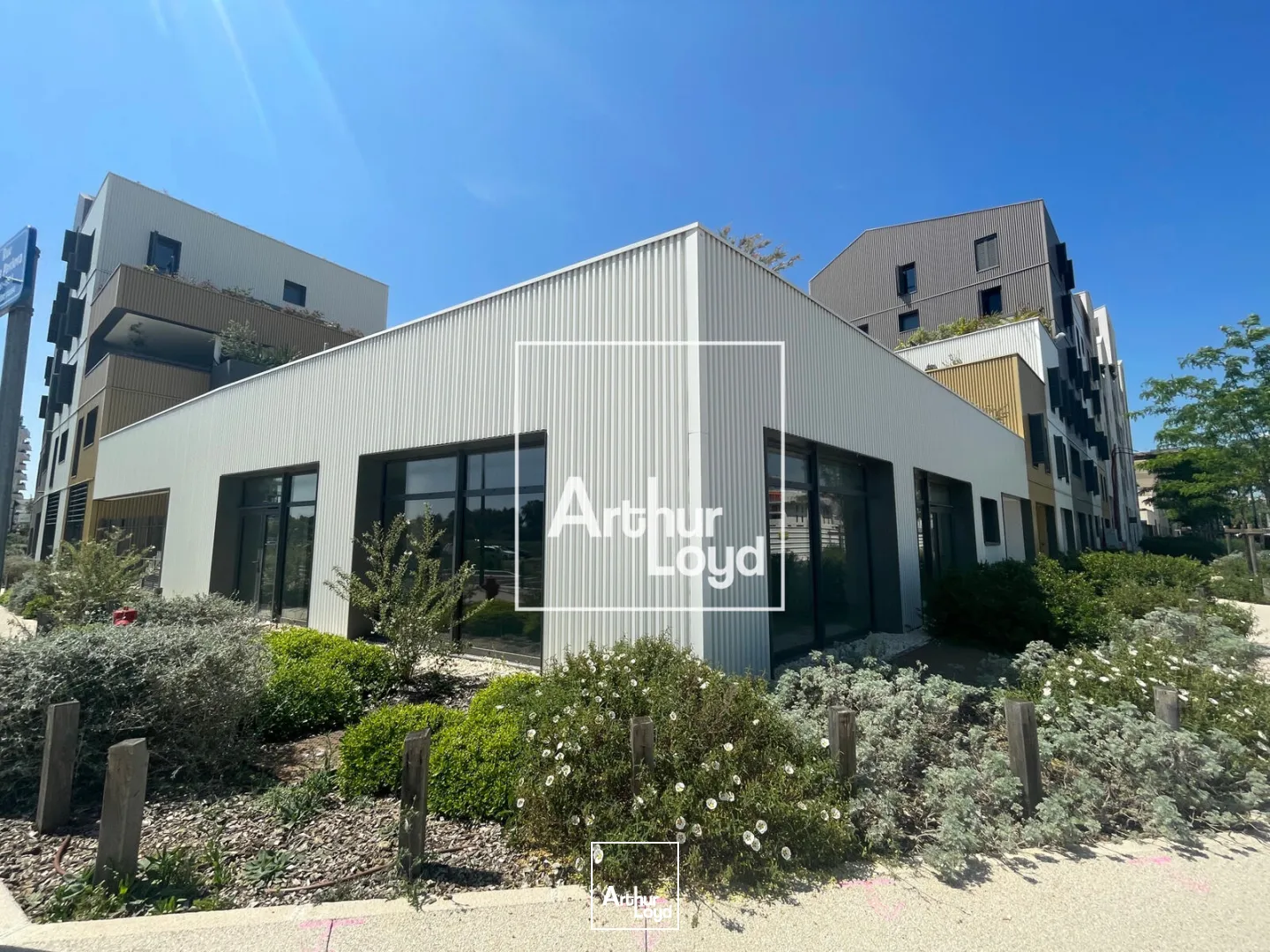 Locaux commerciaux - Location - MONTPELLIER - 34000 - 127-127 - 7749462