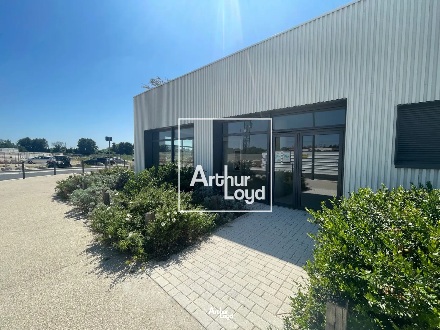 Locaux commerciaux - Location - MONTPELLIER - 34000 - 127-127 - 7749464