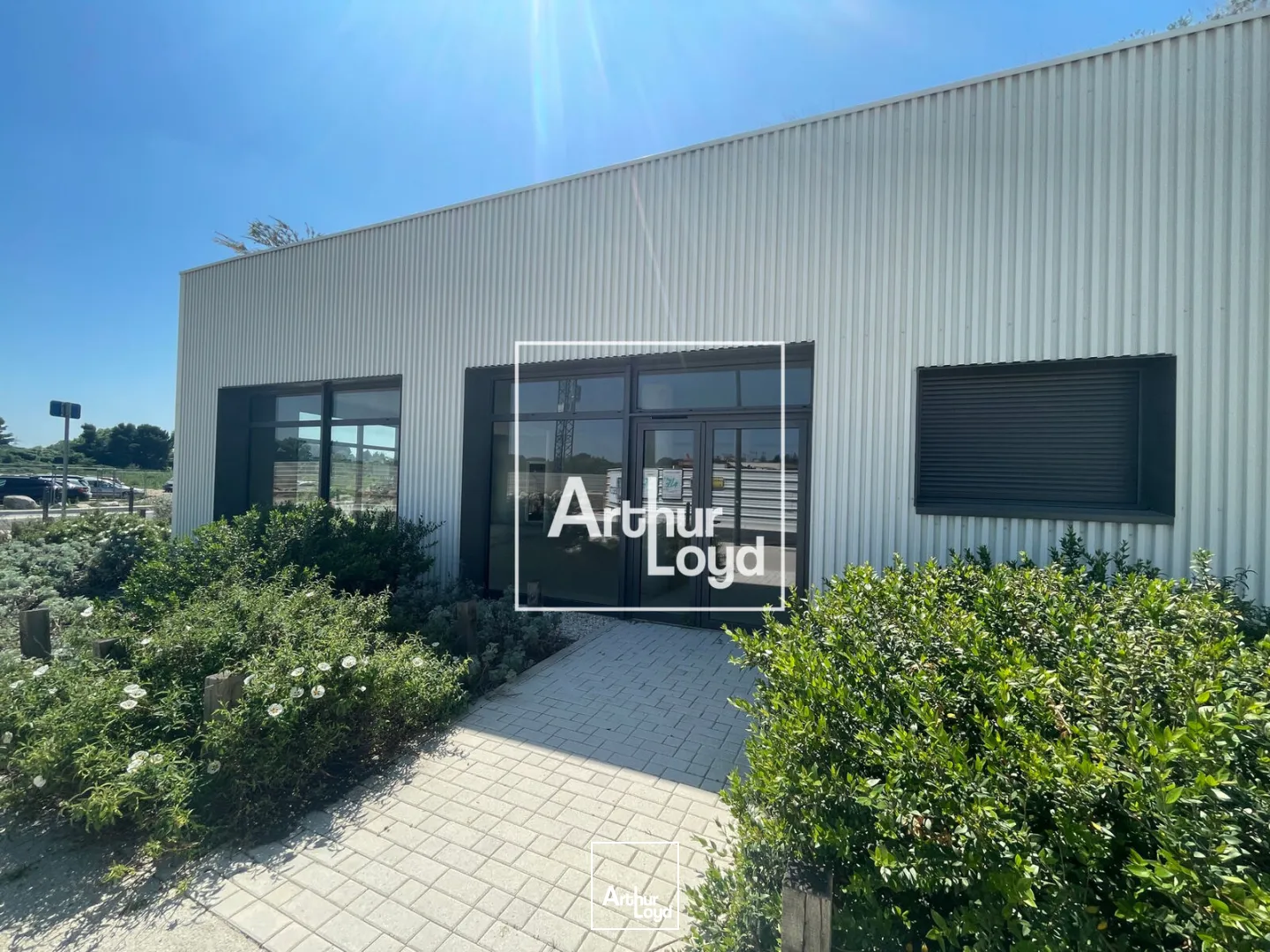 Locaux commerciaux - Location - MONTPELLIER - 34000 - 127-127 - 7749465