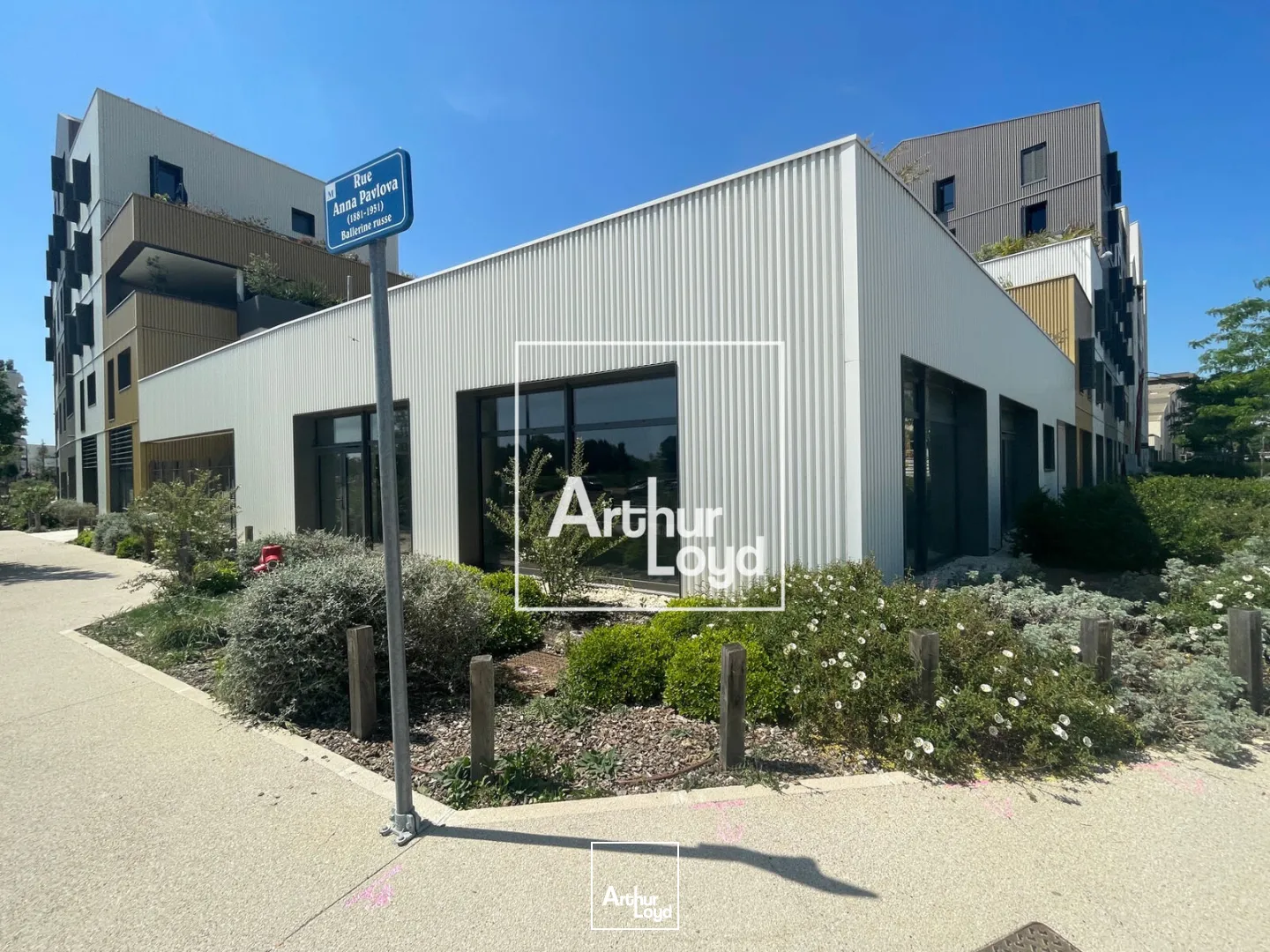 Locaux commerciaux - Location - MONTPELLIER - 34000 - 127-127 - 7749461