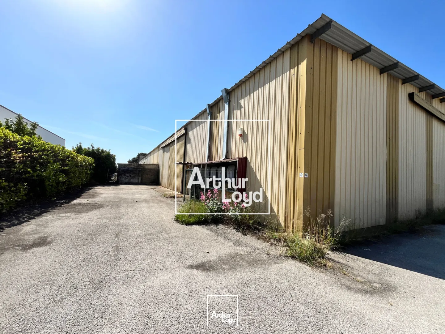 Locaux d'activité & Entrepôts - Location - NIMES - 30000 - 600-600 - 7751628