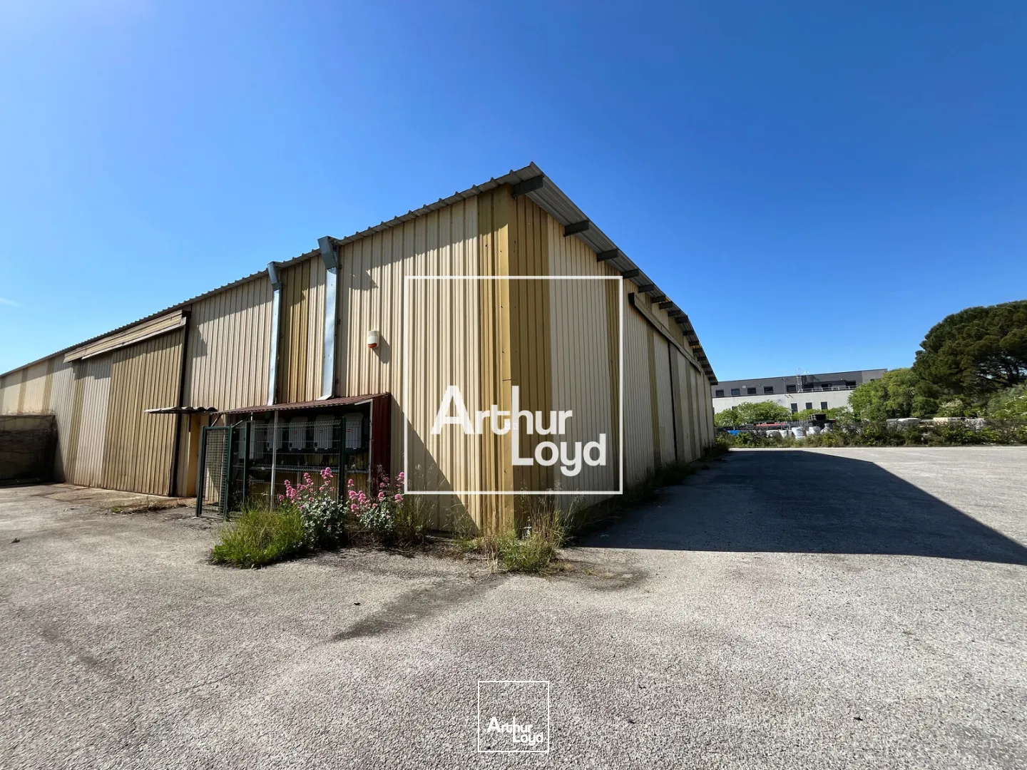 Locaux d'activité & Entrepôts - Location - NIMES - 30000 - 600-600 - 7751621