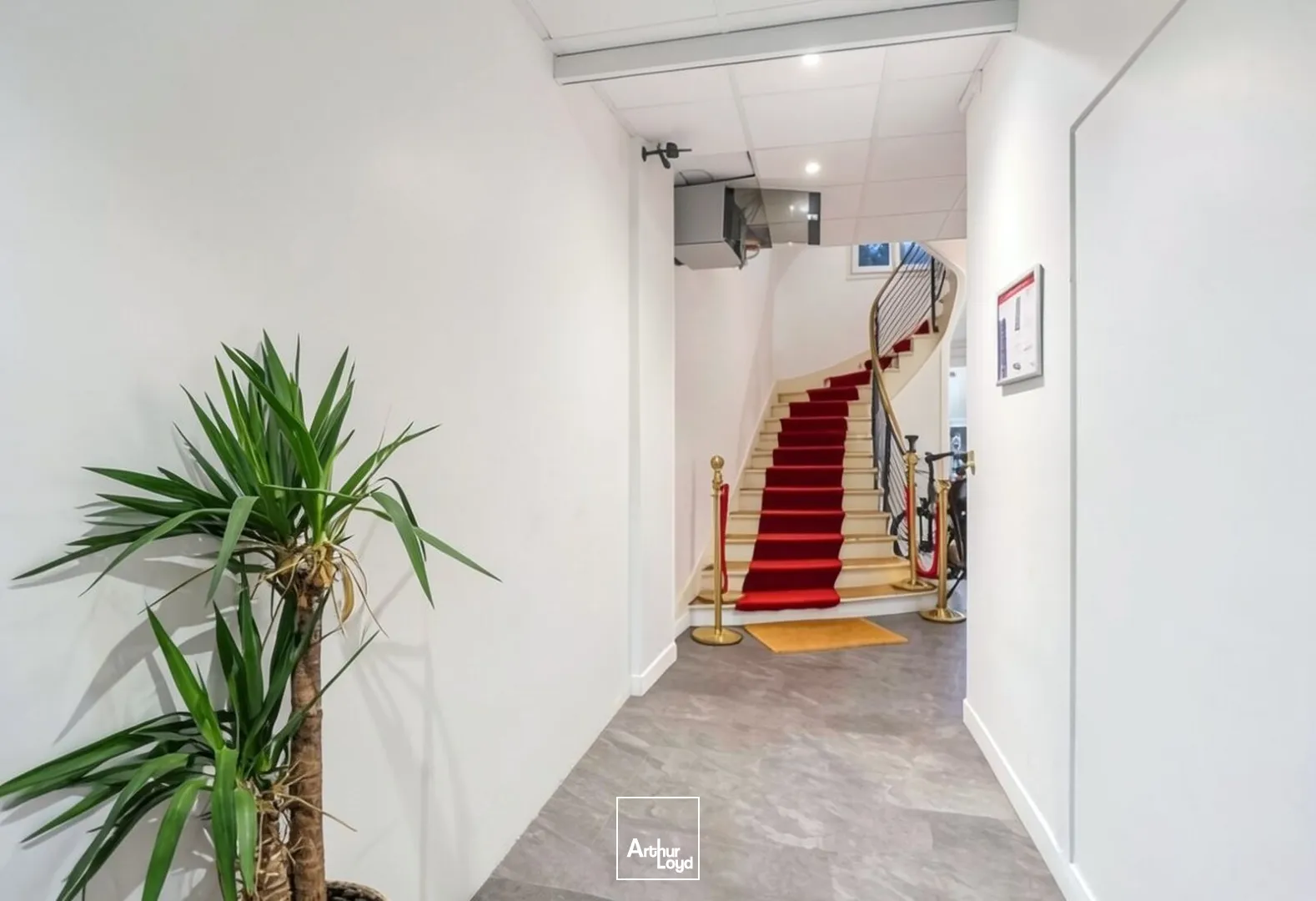 Bureaux - Vente - NEUILLY SUR SEINE - 92200 - 365.76-365.76 - 7751852