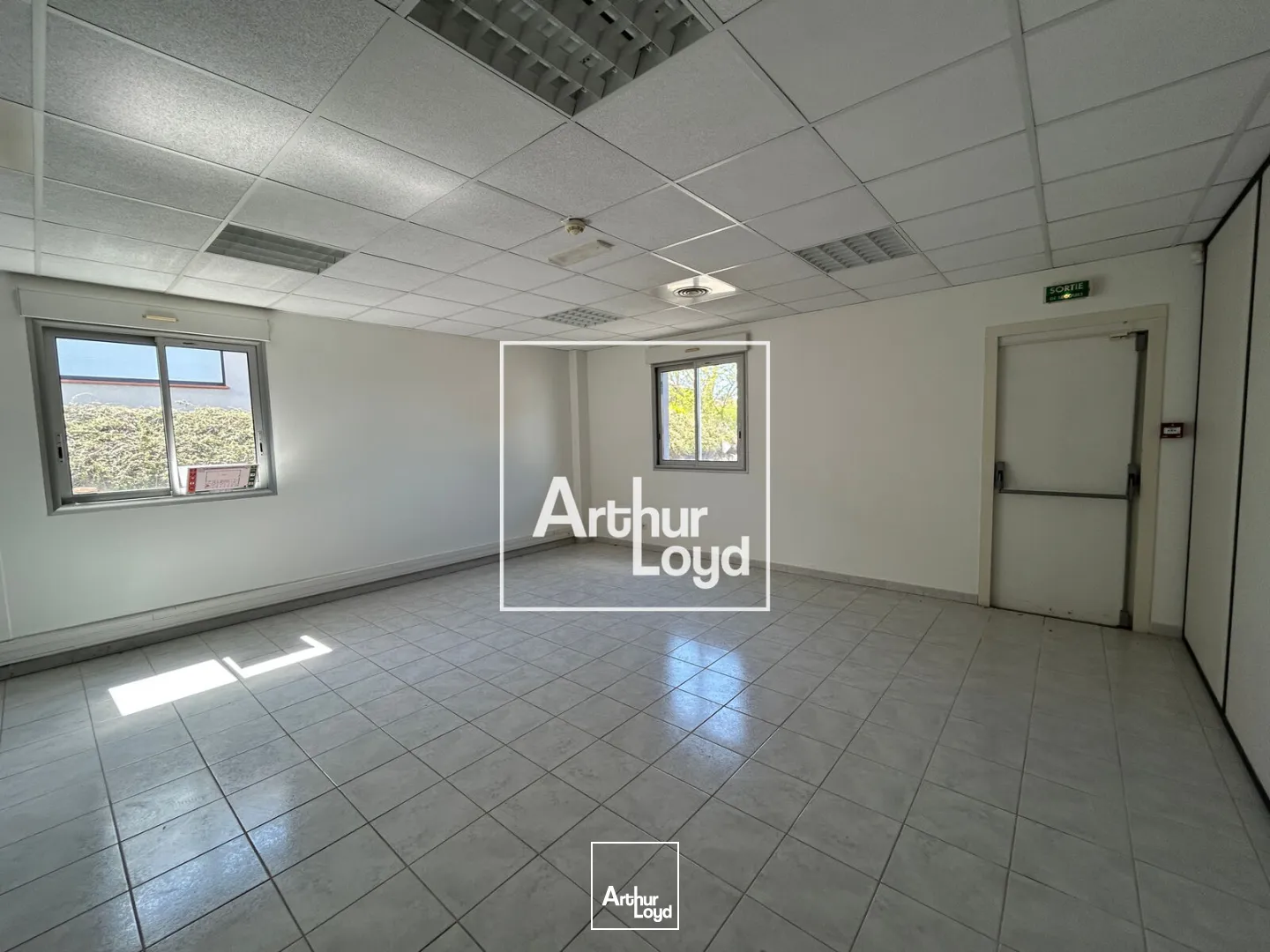 Locaux d'activité & Entrepôts - Location - MONDOUZIL - 31850 - 770-2962 - 7752008