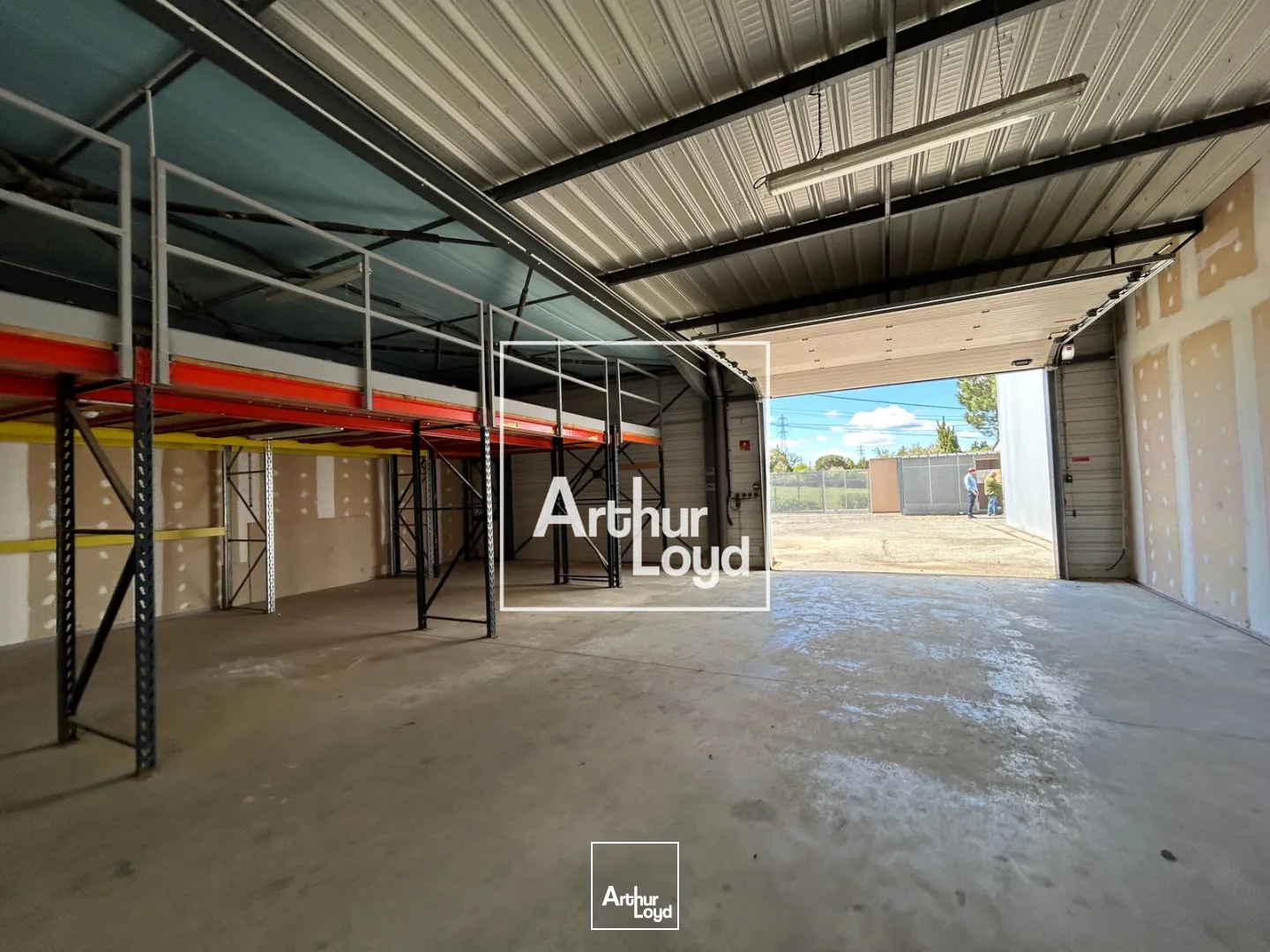 Locaux d'activité & Entrepôts - Location - MONDOUZIL - 31850 - 770-2962 - 7752023