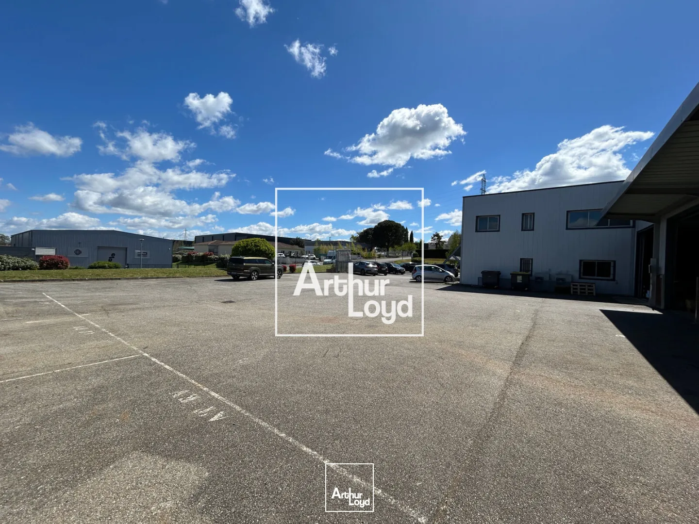 Locaux d'activité & Entrepôts - Location - MONDOUZIL - 31850 - 770-2962 - 7752006