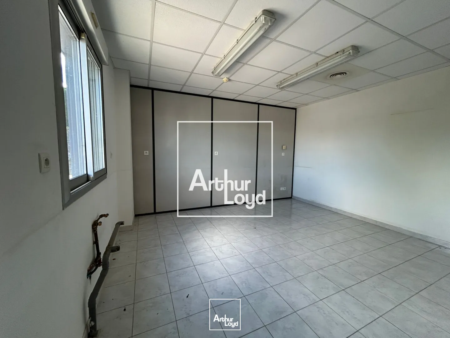 Locaux d'activité & Entrepôts - Location - MONDOUZIL - 31850 - 770-2962 - 7752018