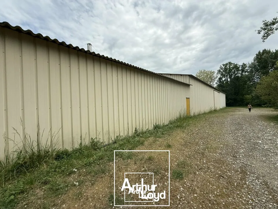 Locaux d'activité & Entrepôts - Vente - TERRASSON-LAVILLEDIEU - 24120 - 3800-3800 - 7753147