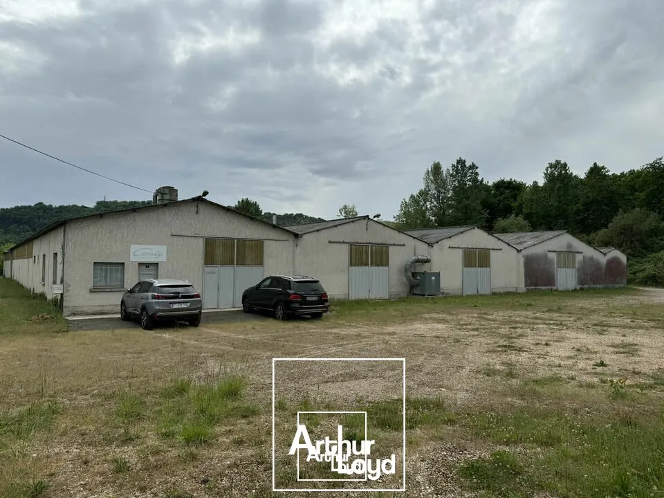 Locaux d'activité & Entrepôts - Vente - TERRASSON-LAVILLEDIEU - 24120 - 3800-3800 - 7753146
