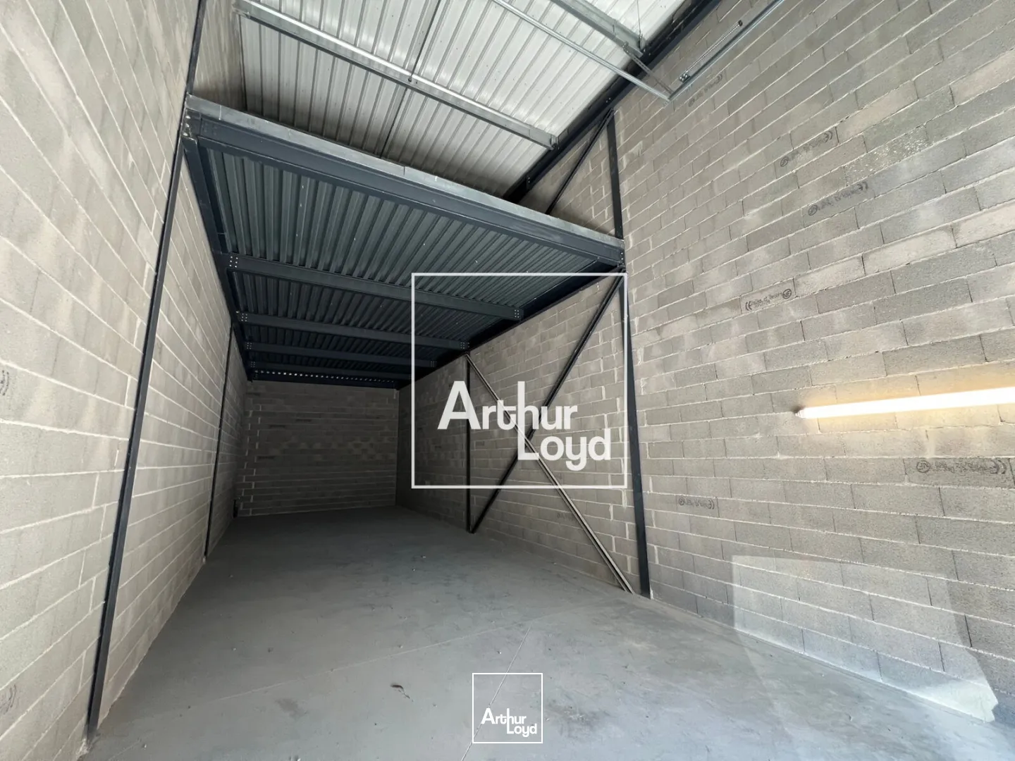 Locaux d'activité & Entrepôts - Location - SAINT GEORGES D'ORQUES - 34680 - 246-246 - 7753272