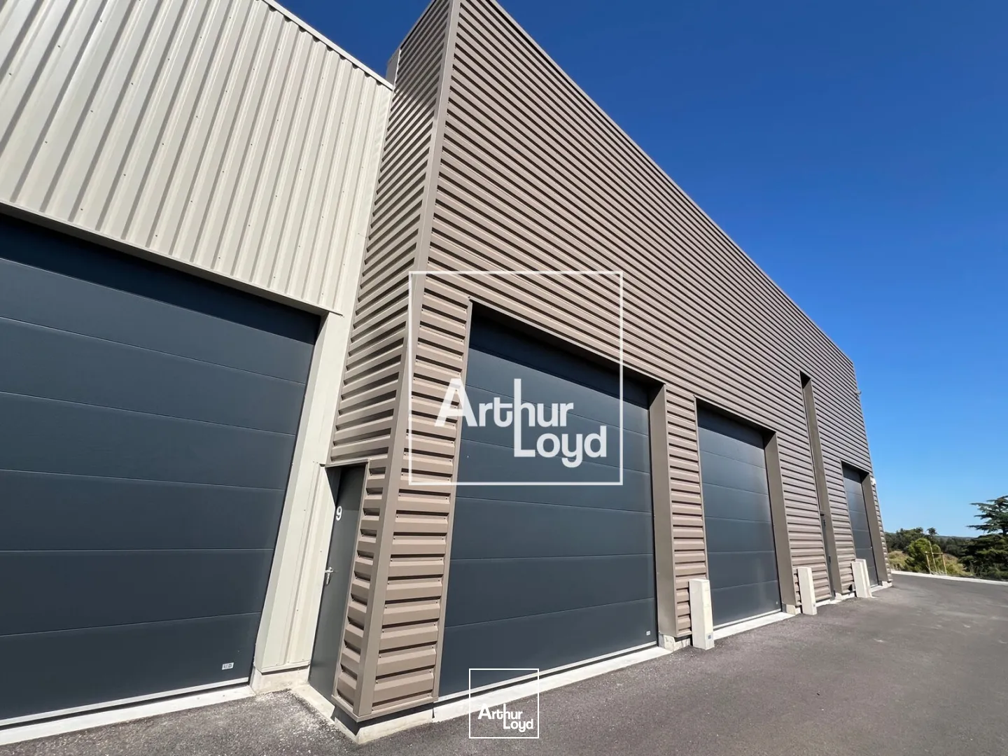 Locaux d'activité & Entrepôts - Location - SAINT GEORGES D'ORQUES - 34680 - 246-246 - 7753270