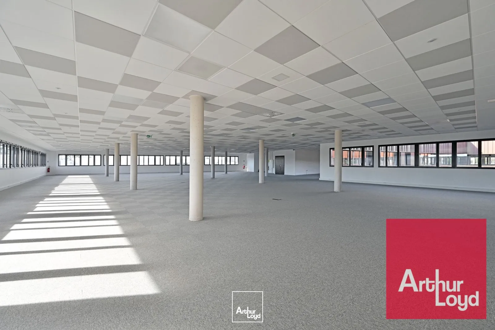 Bureaux - Location - MAUGUIO - 34130 - 588.97-3265.61 - 7753288