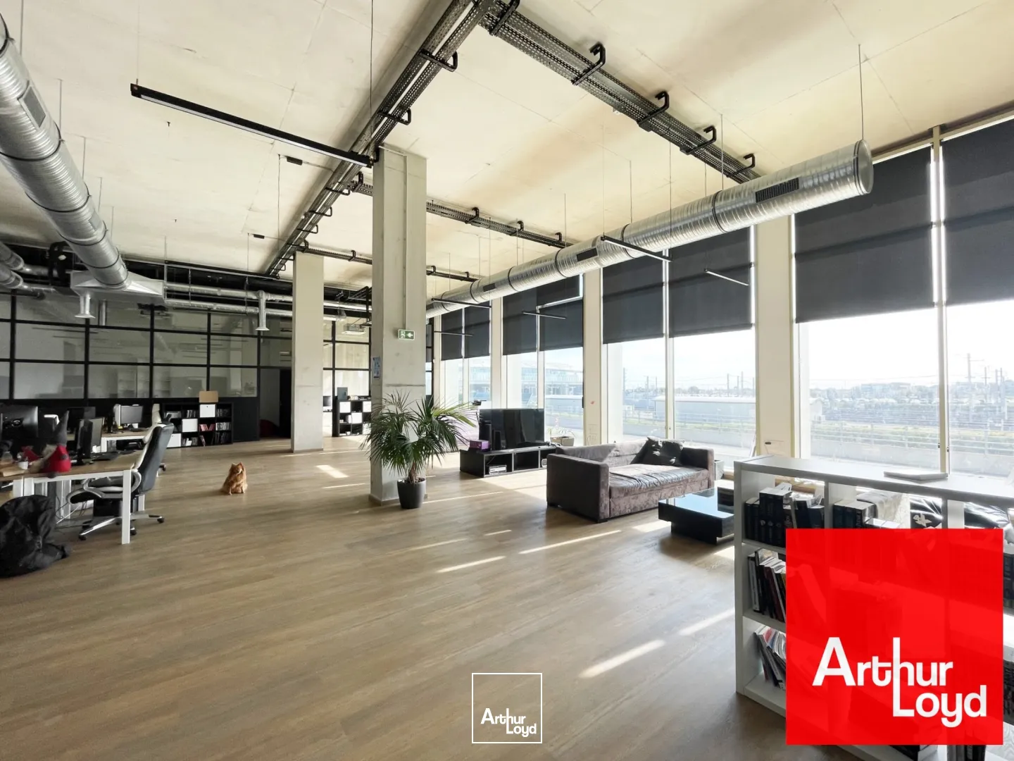 Bureaux - Location - MONTPELLIER - 34000 - 247-543.86 - 7753303