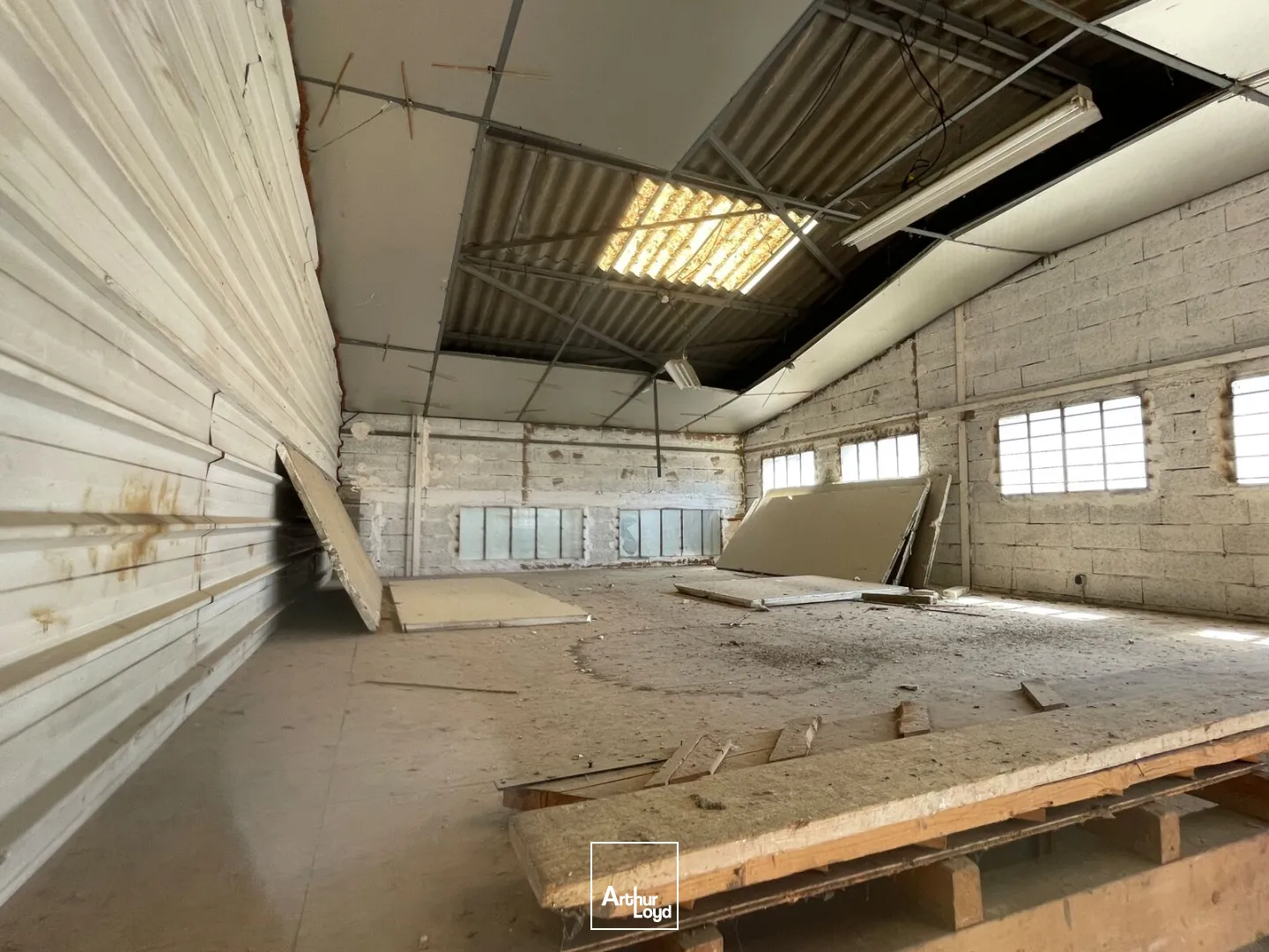 Locaux d'activité & Entrepôts - Location - SAUVIAN - 34410 - 26-596 - 7753671