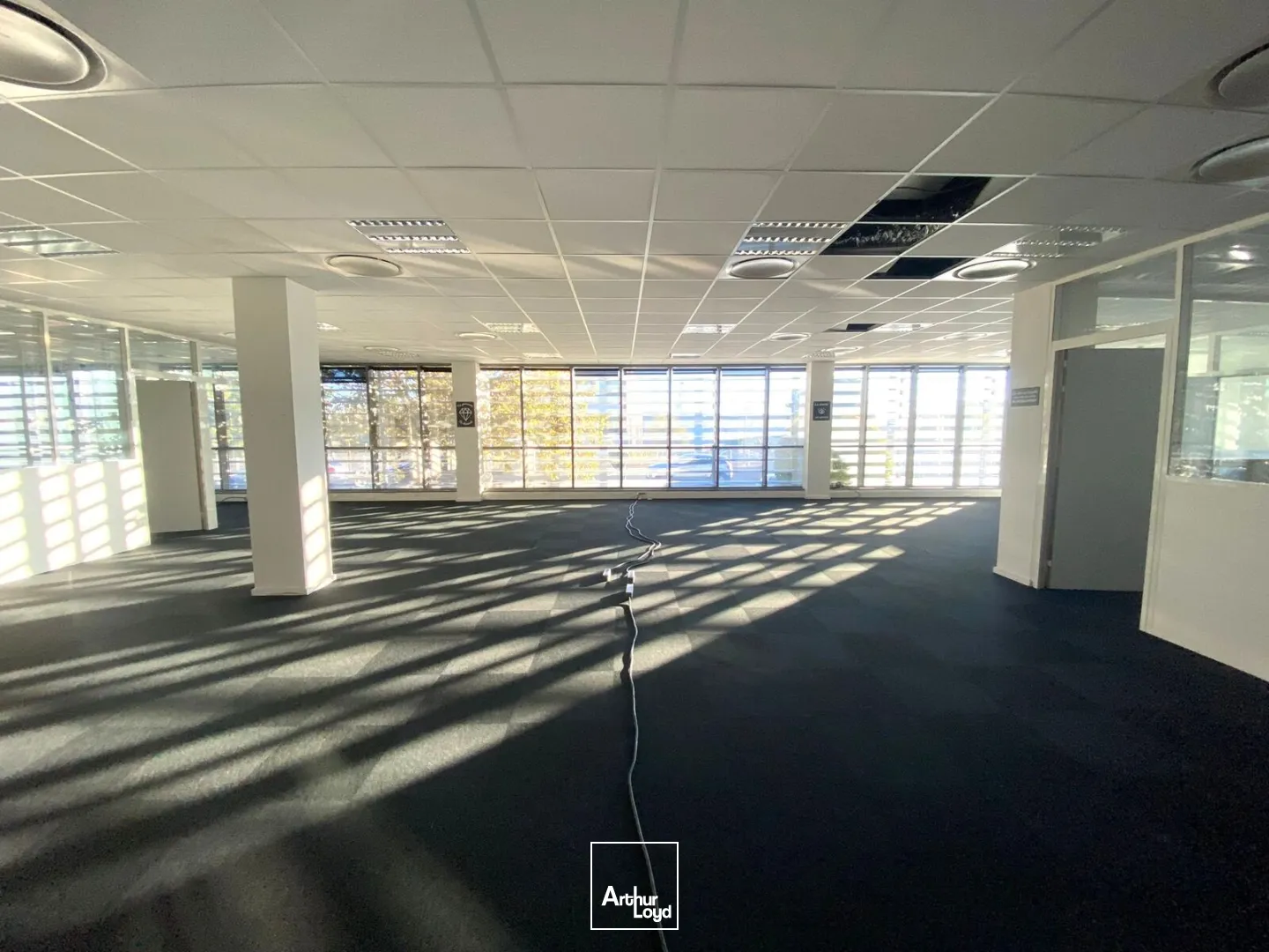 Bureaux - Location - MARSEILLE - 13016 - 341.43-341.43 - 7753703