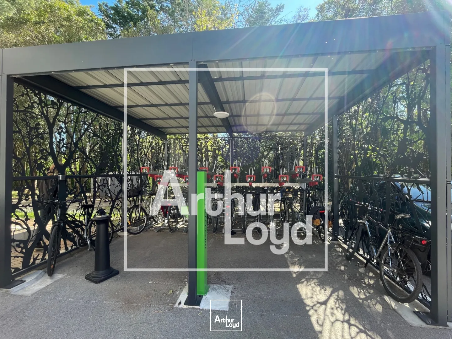 Bureaux - Location - MONTPELLIER - 34000 - 824-824 - 7754159