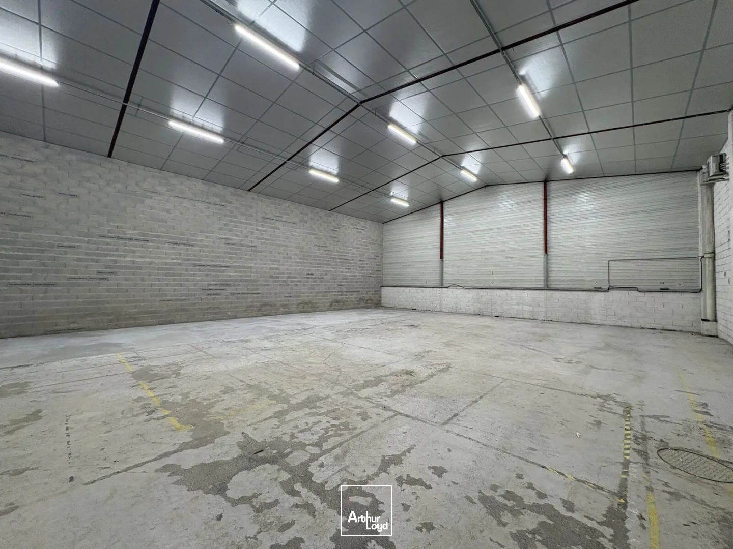 Locaux d'activité & Entrepôts - Location - SAINT JEAN DE LA RUELLE - 45140 - 467-467 - 7754336