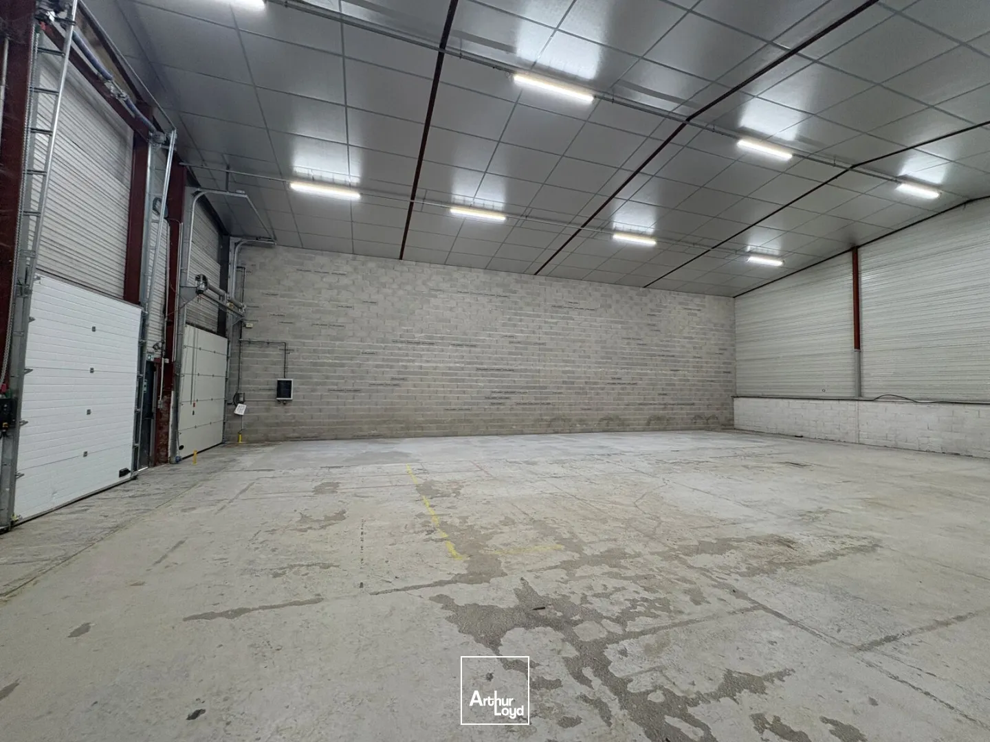 Locaux d'activité & Entrepôts - Location - SAINT JEAN DE LA RUELLE - 45140 - 467-467 - 7754337