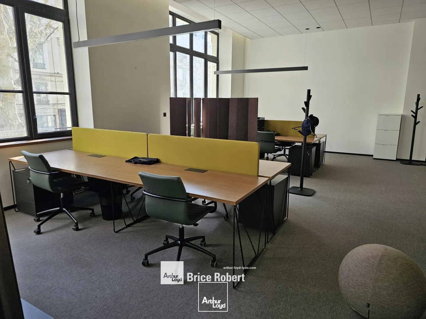 Bureaux - Location - LYON - 69006 - 80-404 - 7754617