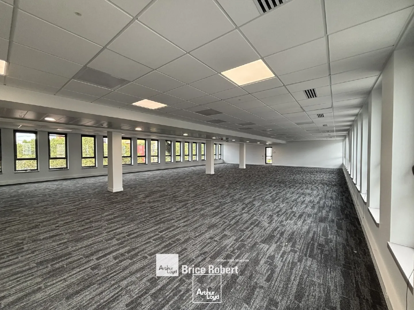 Bureaux - Location - VILLEURBANNE - 69100 - 175.3-175.3 - 7754669