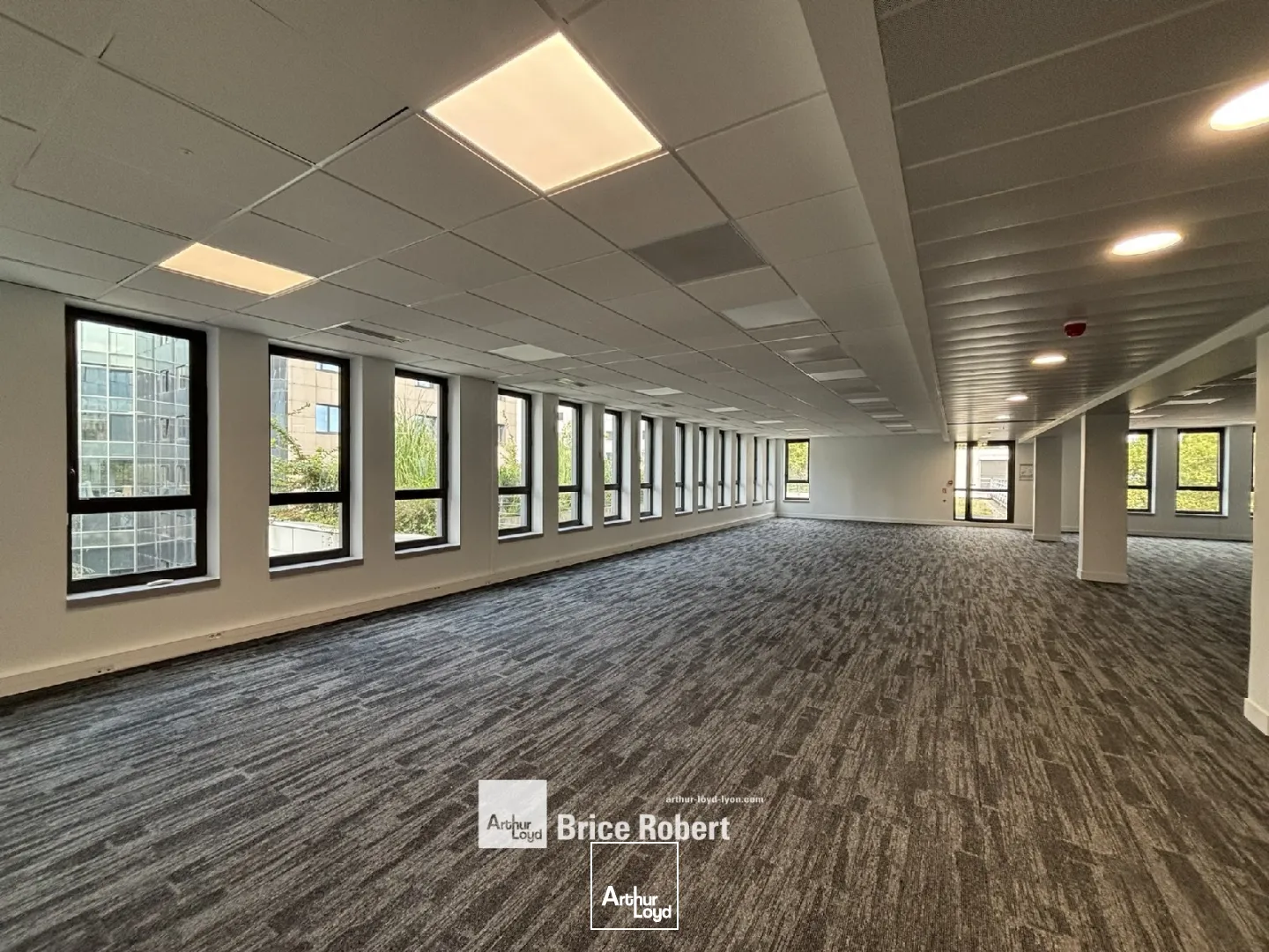 Bureaux - Location - VILLEURBANNE - 69100 - 175.3-175.3 - 7754670