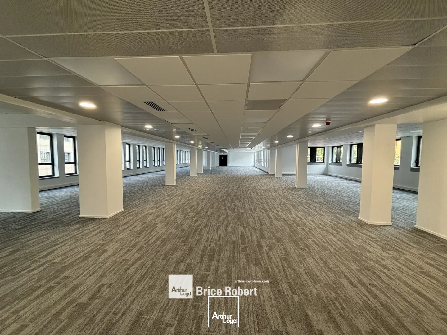 Bureaux - Location - VILLEURBANNE - 69100 - 175.3-175.3 - 7754672
