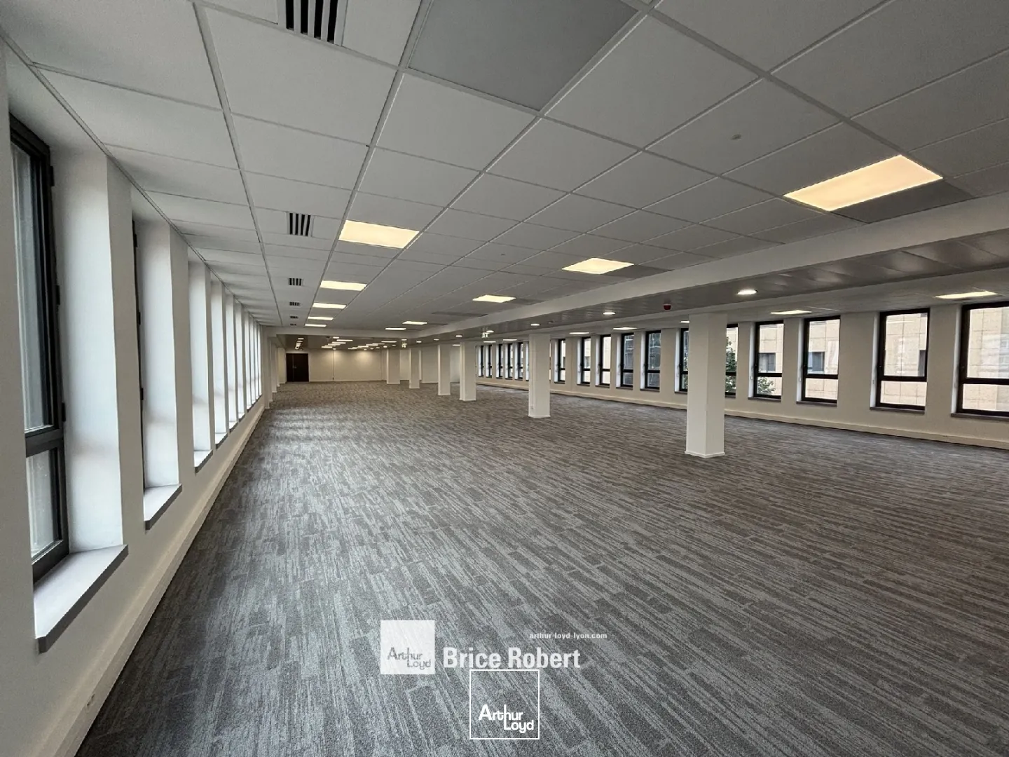 Bureaux - Location - VILLEURBANNE - 69100 - 175.3-175.3 - 7754671