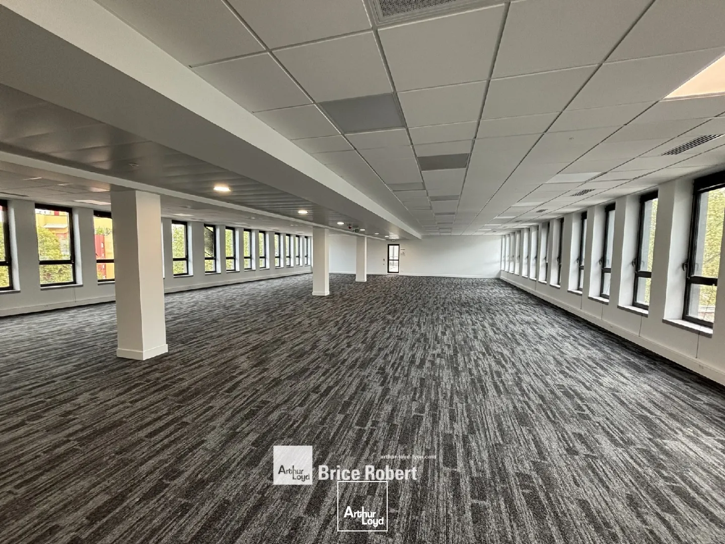 Bureaux - Location - VILLEURBANNE - 69100 - 175.3-175.3 - 7754668