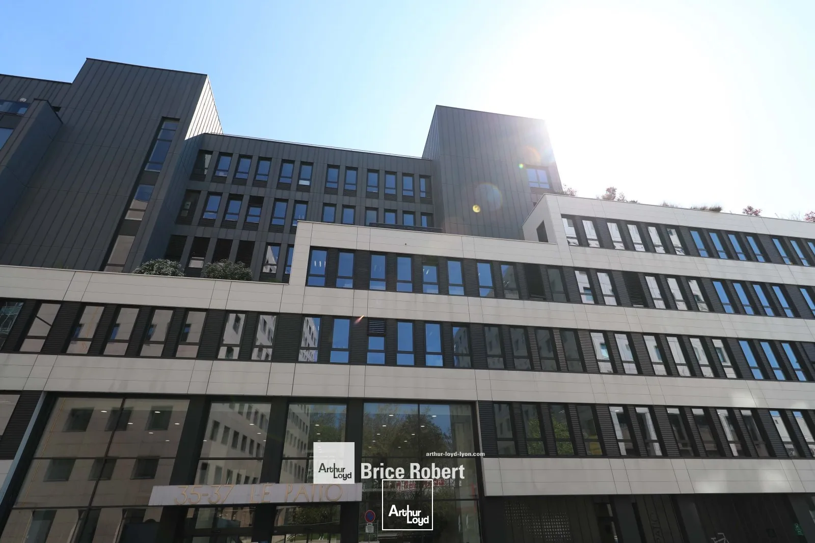 Bureaux - Location - VILLEURBANNE - 69100 - 175.3-175.3 - 7754674