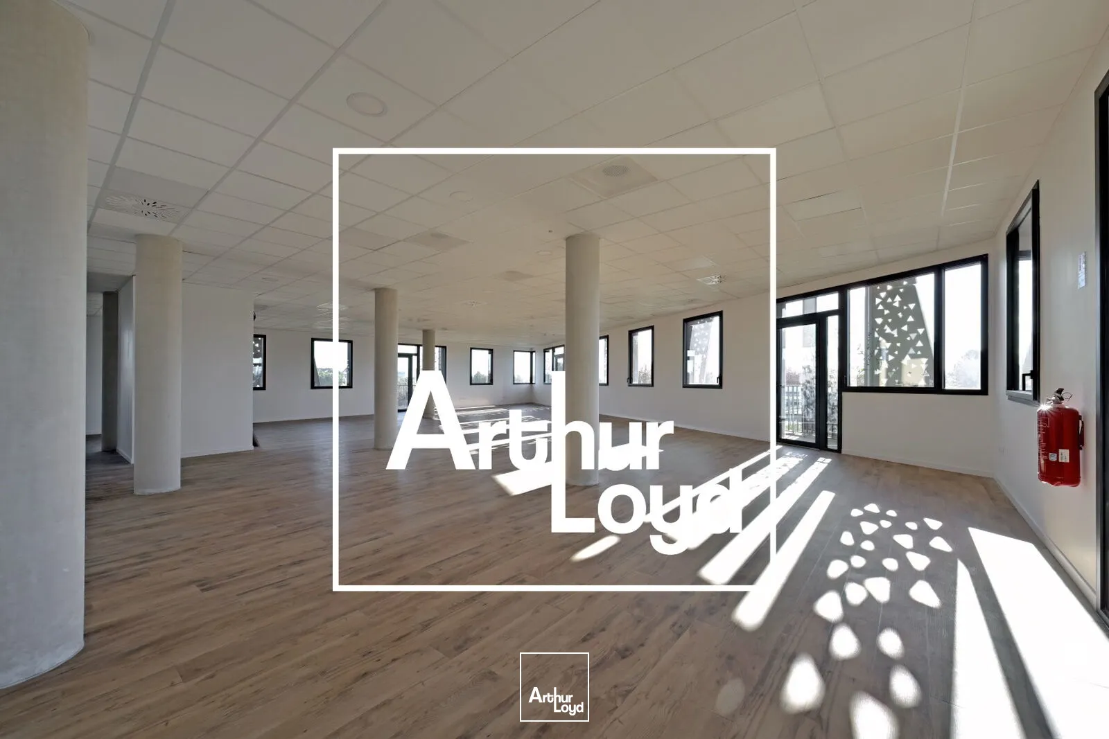 Bureaux - Vente - MONTPELLIER - 34000 - 647-647 - 7756763