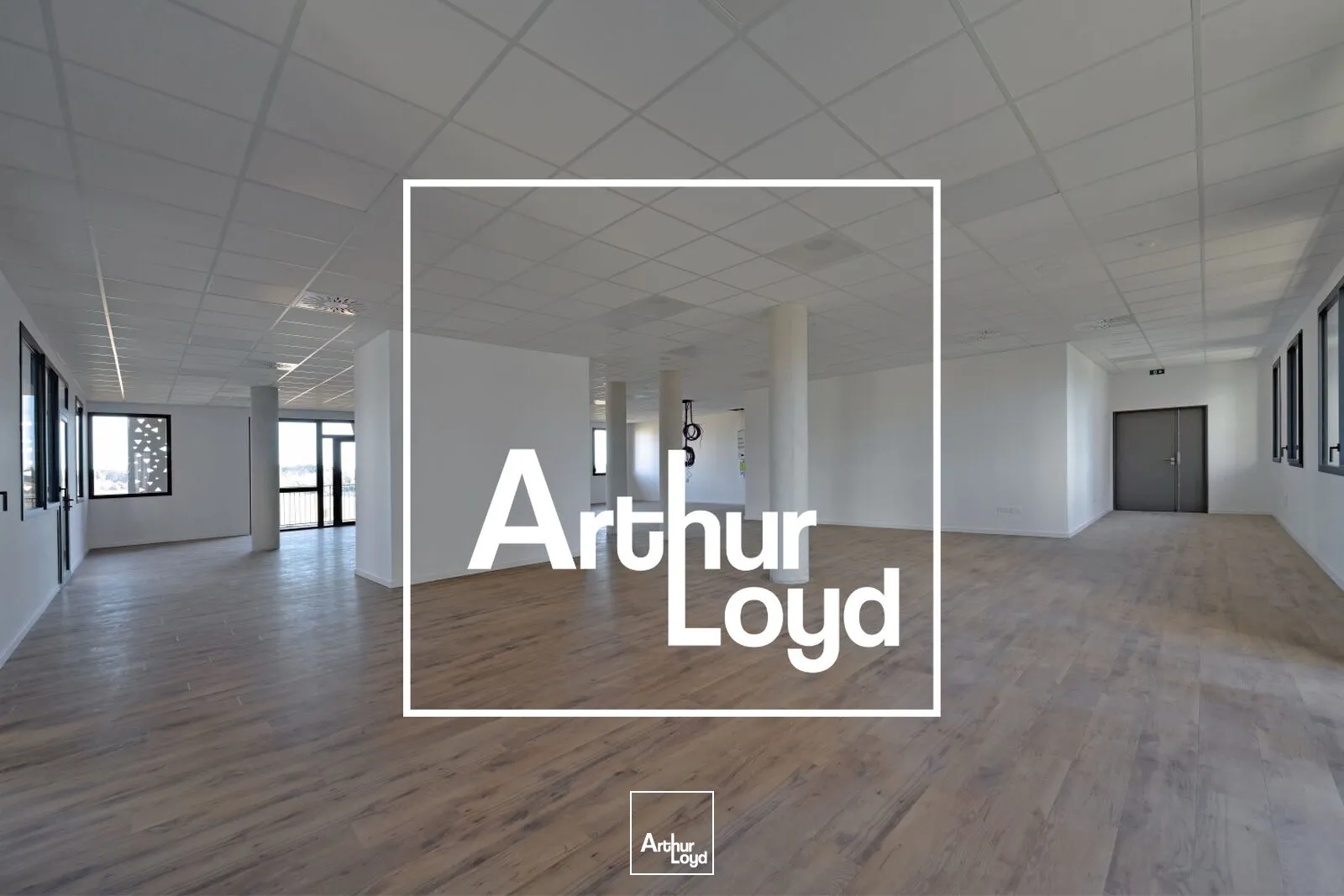 Bureaux - Vente - MONTPELLIER - 34000 - 647-647 - 7756764