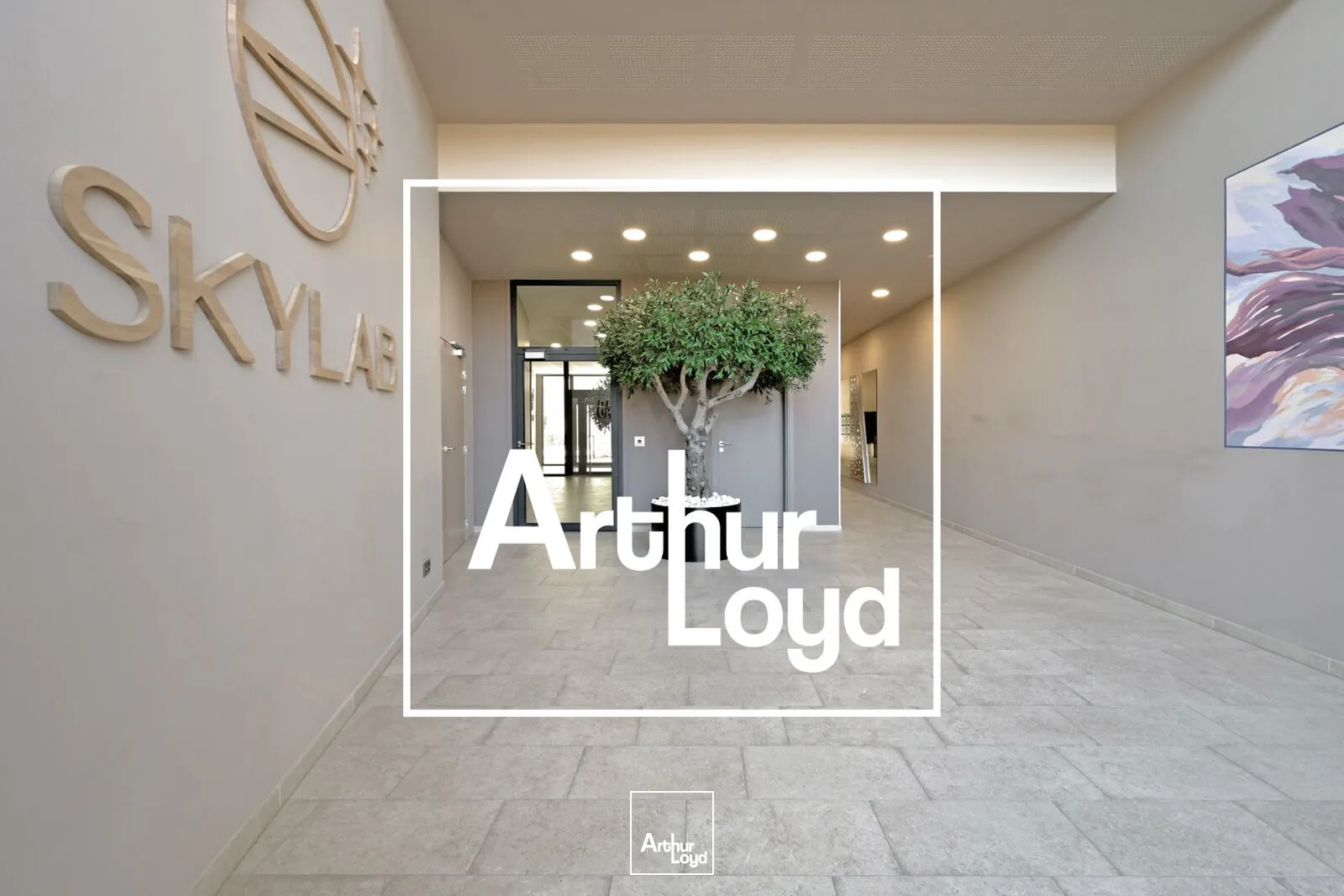 Bureaux - Vente - MONTPELLIER - 34000 - 647-647 - 7756759