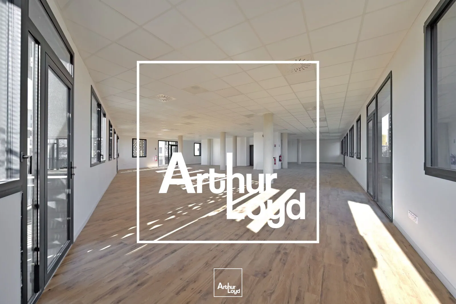 Bureaux - Vente - MONTPELLIER - 34000 - 647-647 - 7756760